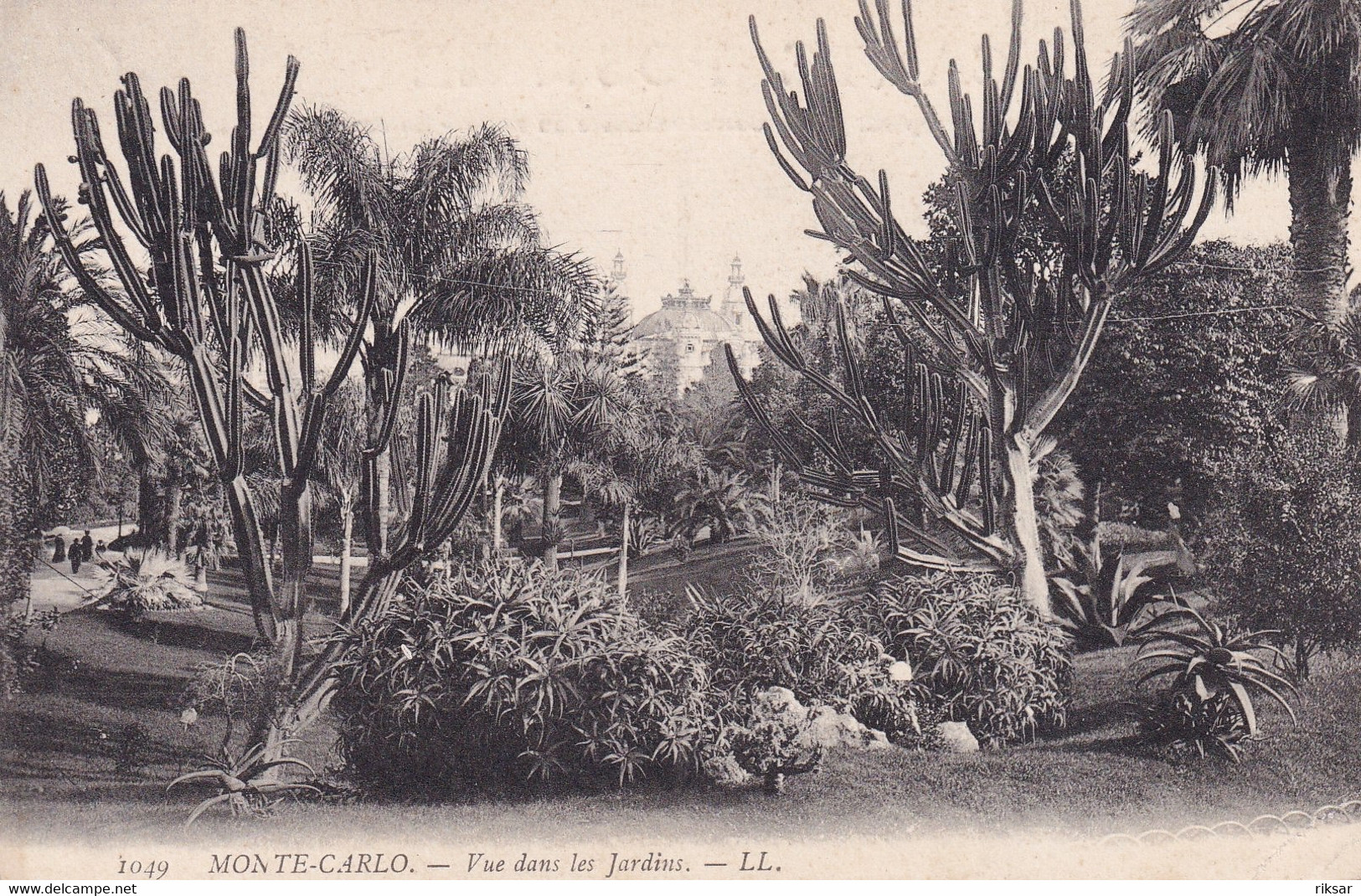 MONACO(ARBRE) CACTUS