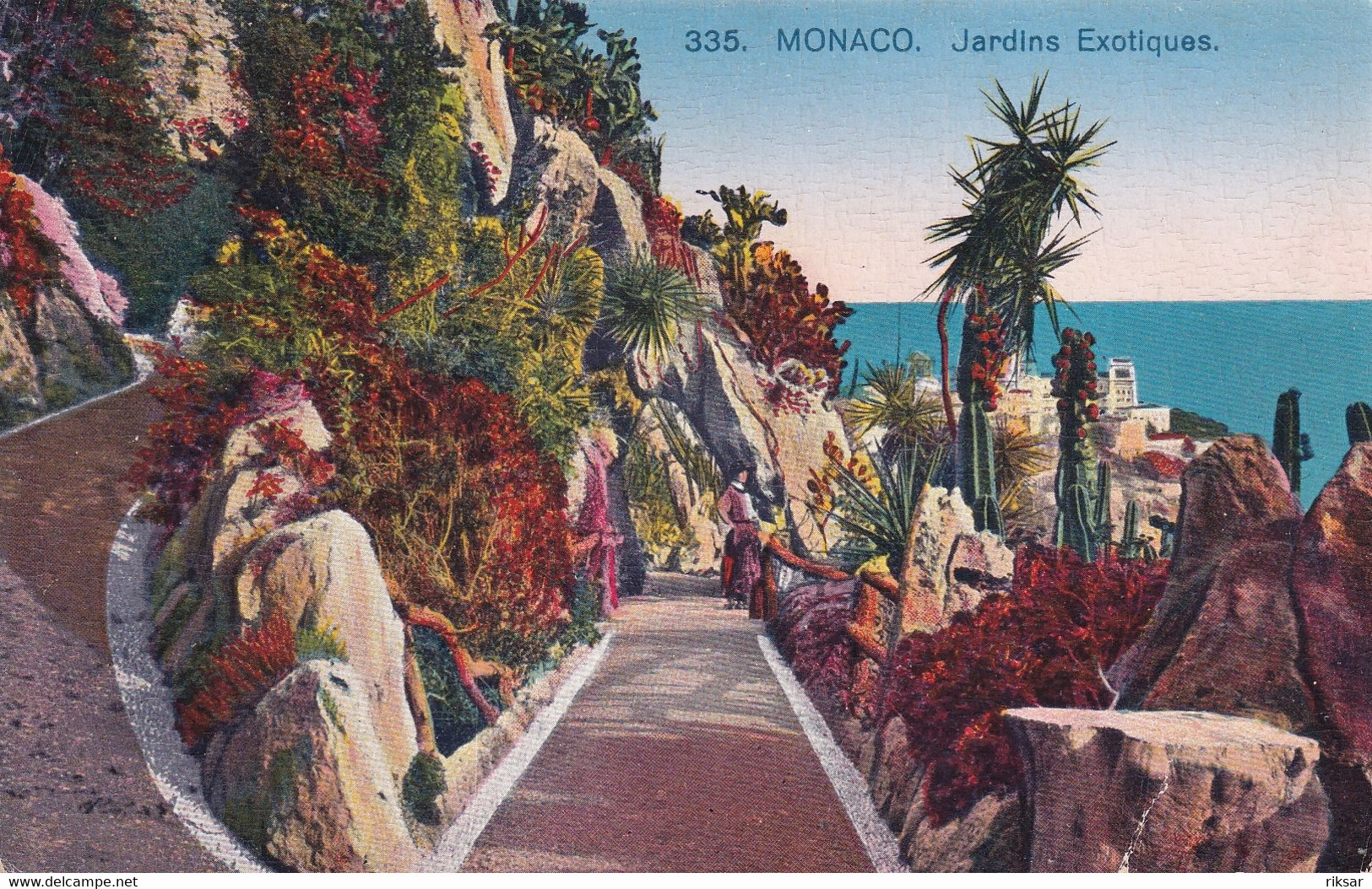 MONACO(ARBRE) CACTUS