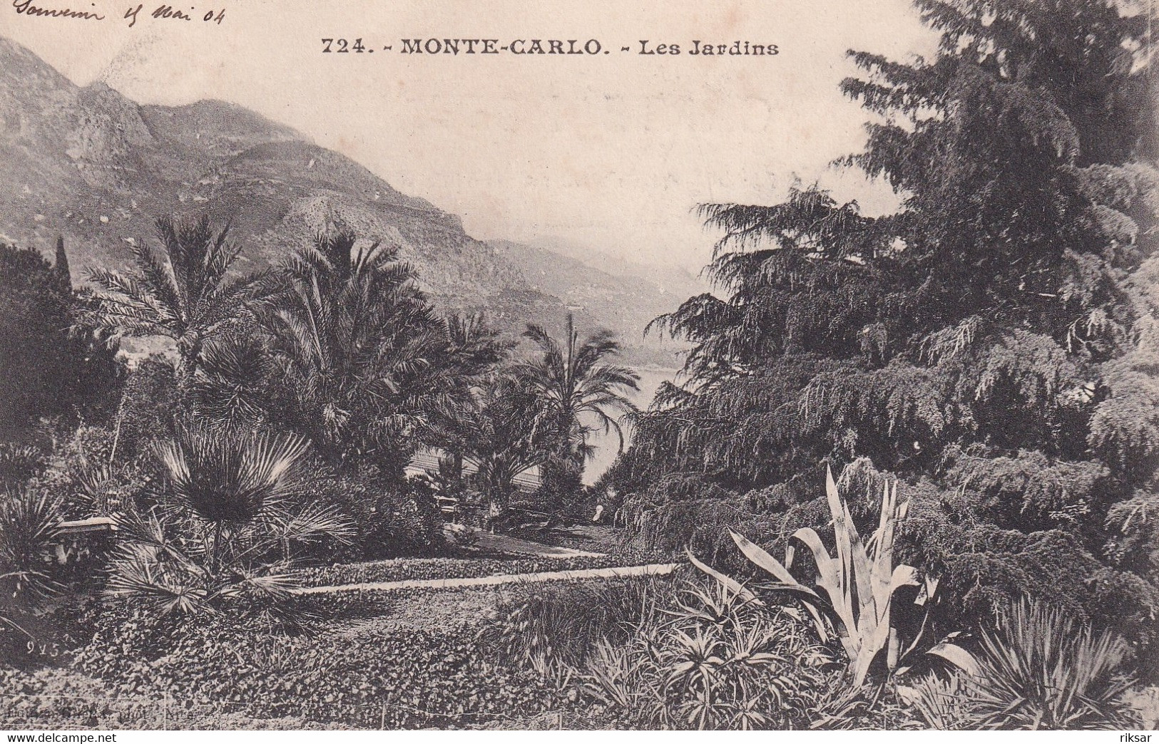 MONACO(CASINO) ARBRE