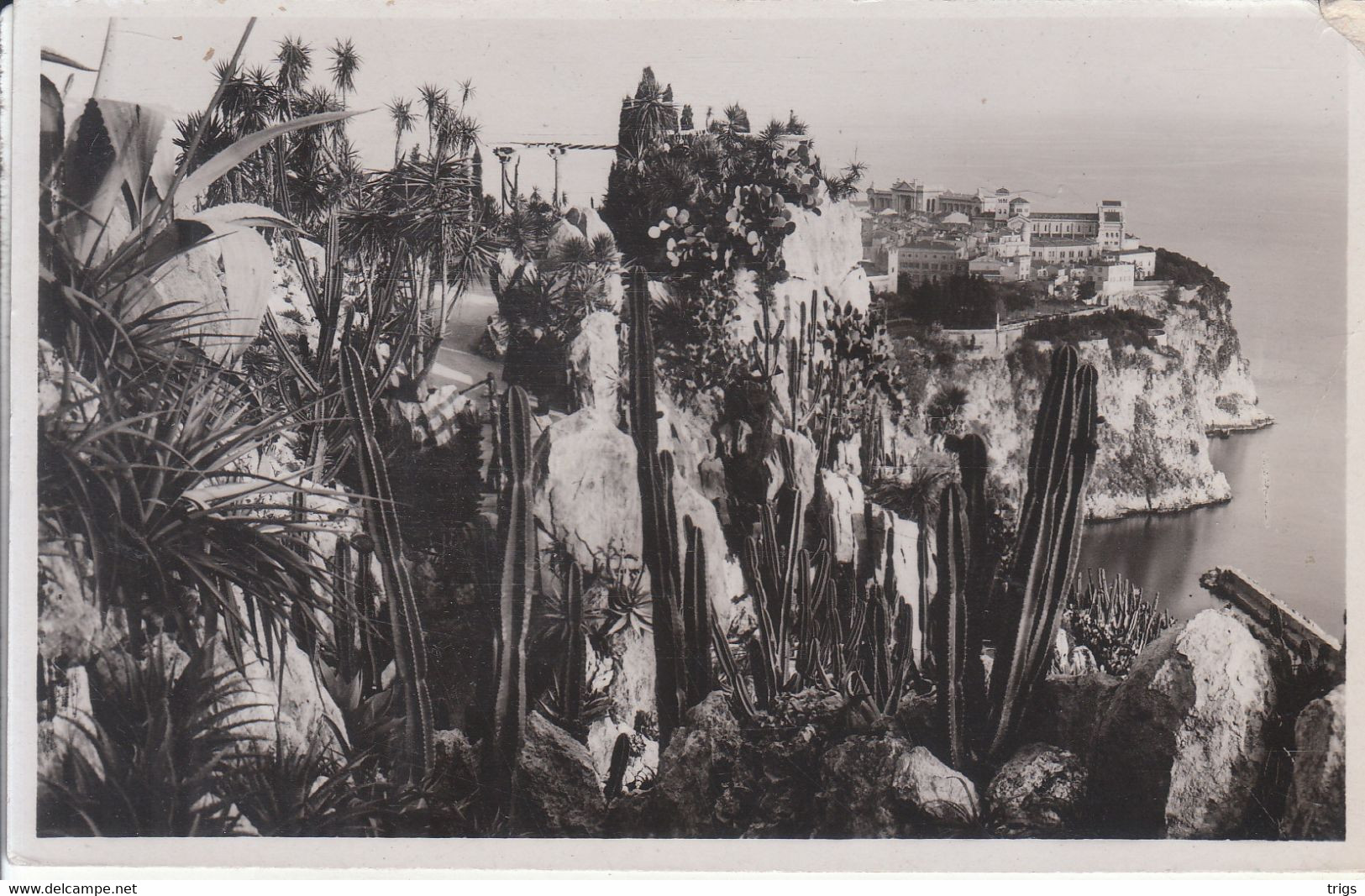 Monaco - Jardin Exotique