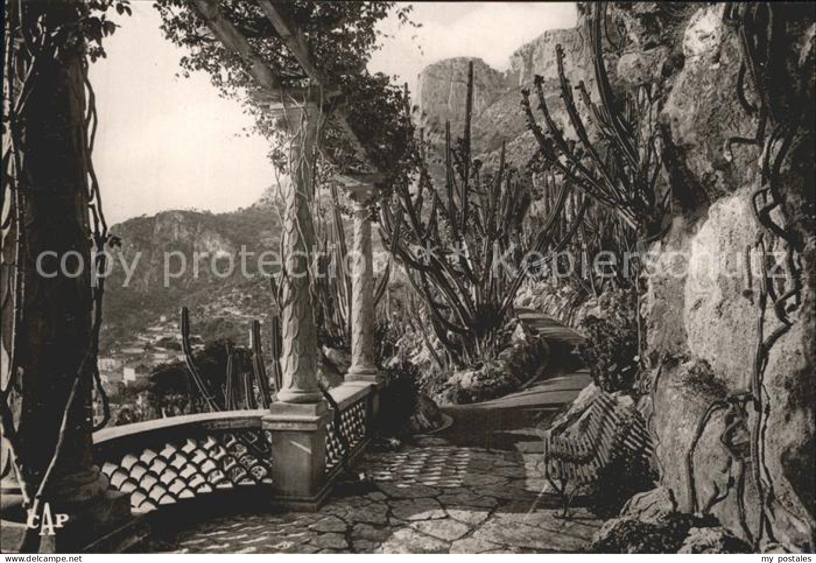 Monaco Jardin Exotique