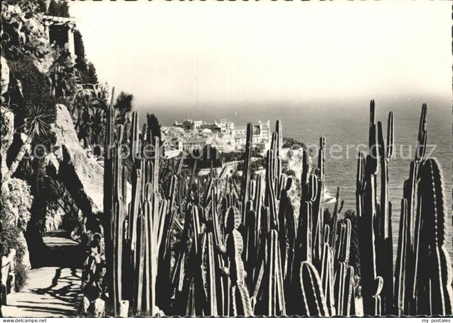 Monaco Jardin Exotique de Monaco Vue sur Monaco