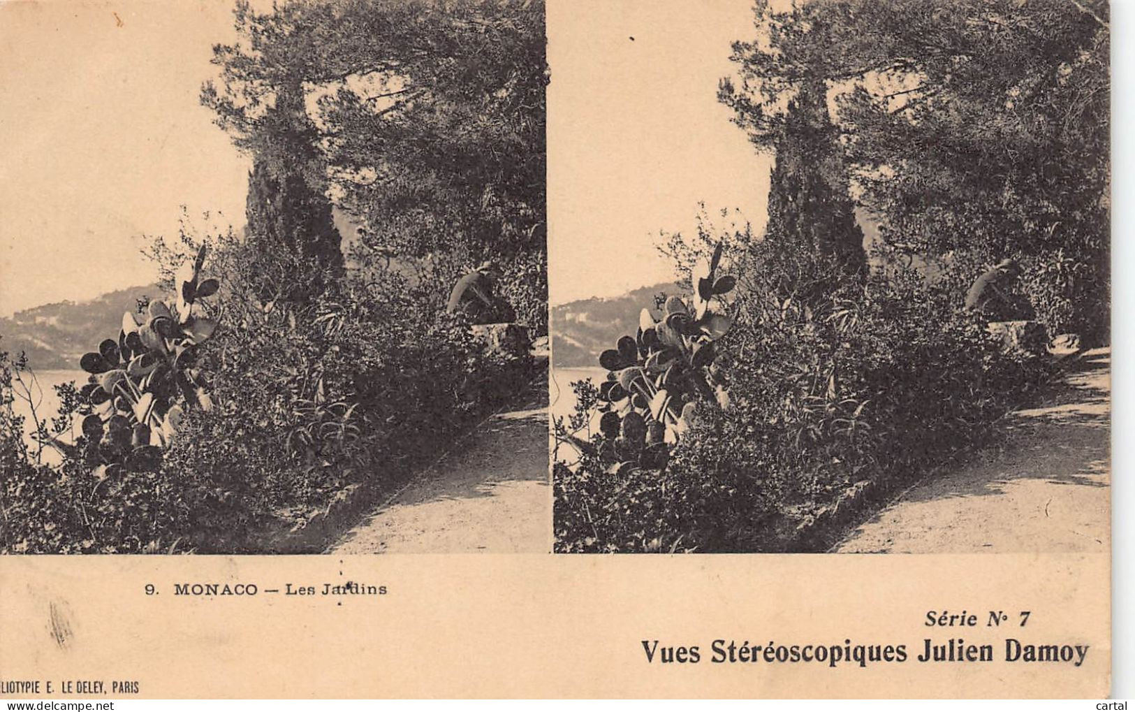 MONACO - Les Jardins (Vues Stéréoscopiques Julien Damoy)