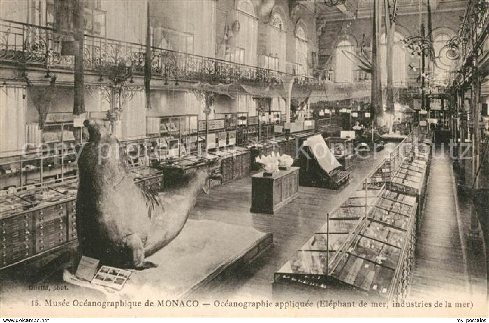 Monaco Musee Ocanographique de Monaco