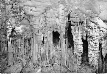 BR10486 Monaco Grottes du jardin Exotique