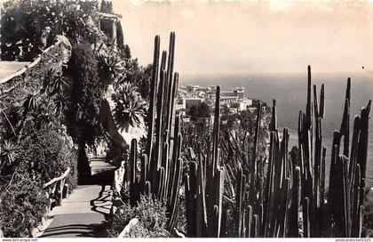 BR16373 Jardin Exotique de Monaco
