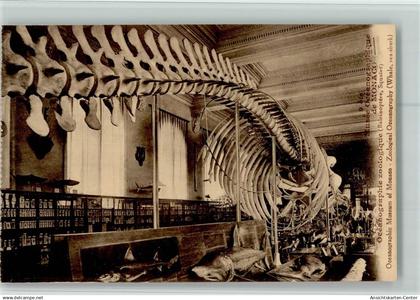 10513865 - Nr. 106 - Musee Oceanographique  - Zoo -