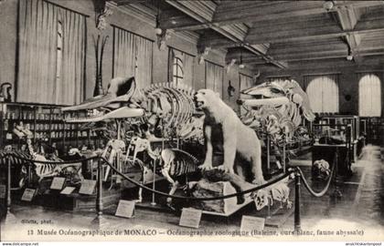 CPA Monte Carlo Monaco, Ozeanographisches Museum