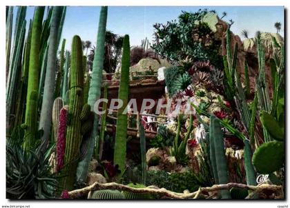 CPM Monaco Le Jardin Exotique