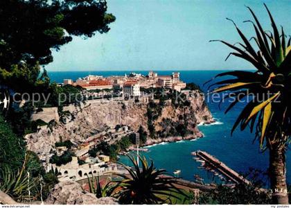 Monaco Le Rocher Vue prise du Jardin Exotique