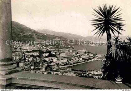 Monte-Carlo Terrasse Jardin Exotique