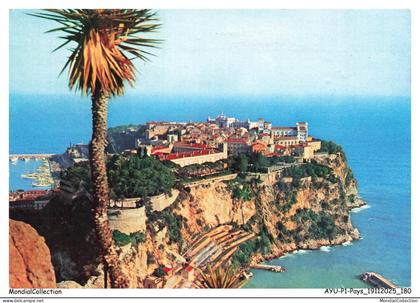 AYUP1-0091-MONACO - Le rocher