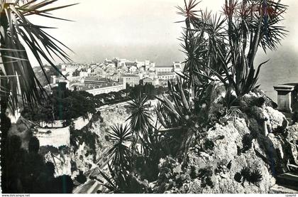 CPM Monaco Le rocher vu du Jardin exotique