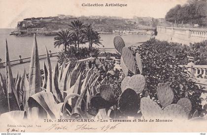 MONACO(CASINO) ARBRE(CACTUS)