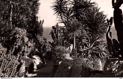 Monaco - le Jardin Exotique, la Méditerranée