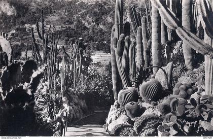 2 CPA JARDIN EXOTIQUE DE MONACO