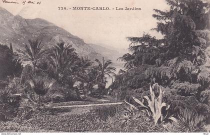 MONACO(CASINO) ARBRE