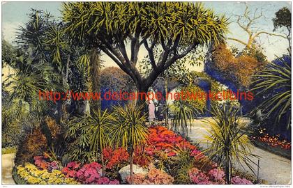 Un coin de Jardin - Monte-Carlo