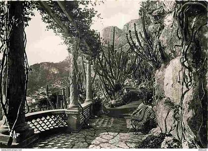 Carte Postale - Monaco - Le Jardin exotique - CPM - Voir Scans Recto-Verso - Poscard - Carta Postal -  Postkarte