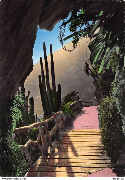MONACO     CACTUS