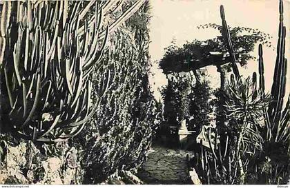 Carte Postale - Monaco - Le Jardin exotique - CPM - Voir Scans Recto-Verso - Poscard - Carta Postal -  Postkarte