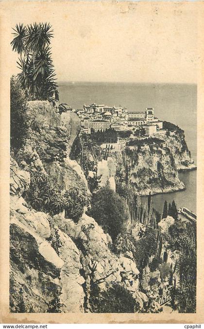 CPA Cote d Azur Artistique MONACO - Vue prise du jardin exotique