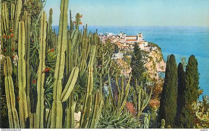 CPA Jardin exotique de Monaco Vue sur le rocher de Monaco Cereus Aloes et opuntia divers