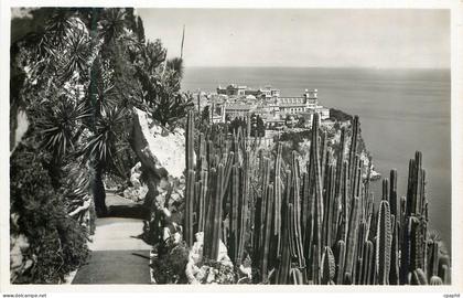 CPM Jardin exotique de Monaco vue sur Monaco Cereus marginatus et divers opuntias Yuccas et Euphorbes divers