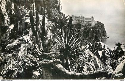 CPM La Cote d Azur Le rocher de Monaco vu du Jardin exotique