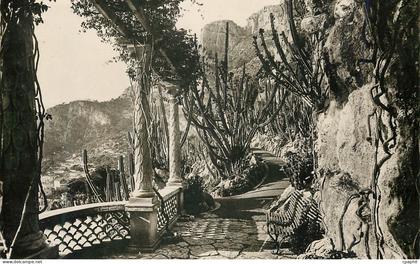 CPM Monaco Le jardin exotique