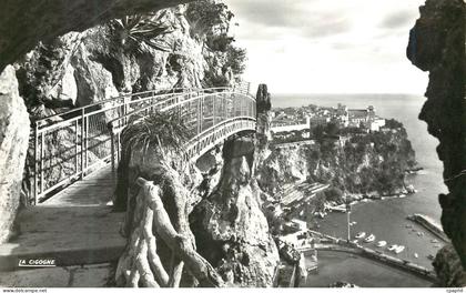 CPM Principaute de Monaco Le rocher et le Stade Louis II vus du Jardin exotique