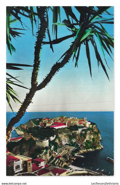 Jardin Exotique, Rocher de Monaco et Palais Princier, Monaco