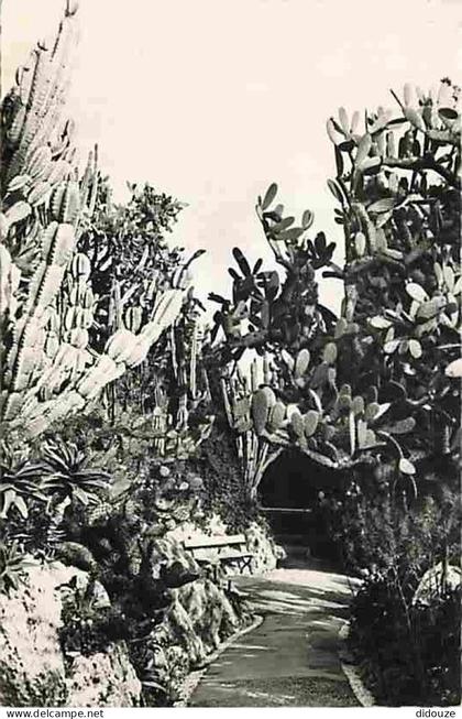 Monaco - Le Jardin exotique - Cereus Paraguemis - Opuntia Sulfurea - Nopaleas - Aloes - Carte Neuve - CPM - Voir Scans R
