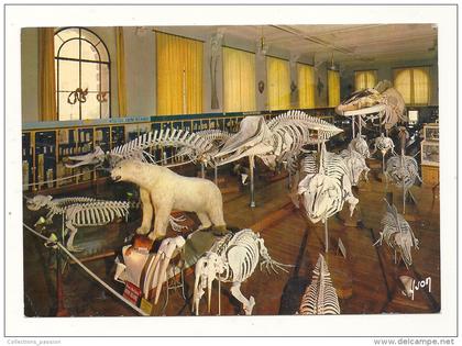 cp, Monaco, Musée Océanographique, Salle de la Baleine, écrite