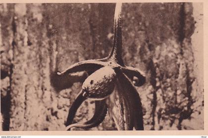 MONACO(AQUARIUM) POISSON
