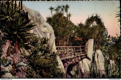 CPA Monaco, Exotischer Garten