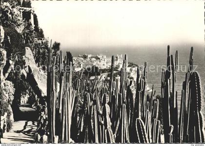 Monaco Jardin Exotique de Monaco Vue sur Monaco