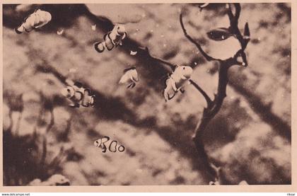 MONACO(AQUARIUM) POISSON