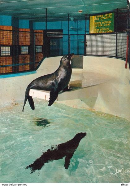MONACO(MUSEE OCEANOGRAPHIQUE)