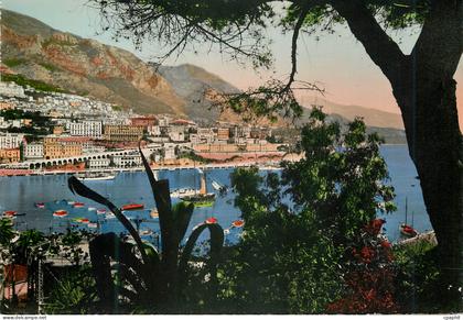CPM Monte-carlo Vue prise de Monaco.