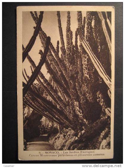 MONACO Monte Carlo Monte-Carlo jardins jardin garden gardens cactus flora post card