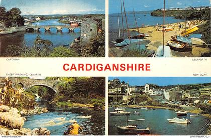 B101390 cardiganshire  wales 14x9cm