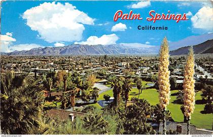 B32336 Palm Springs California    usa