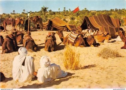 B53442 Tunisia  Nomads