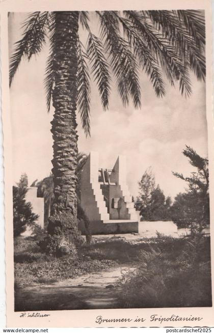 B77782 brunnen in tripolitanien   lybia libia  scan front/back image