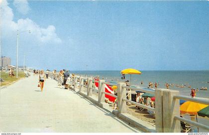 B88038 virginia beach usa 14x9cm