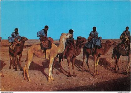 B91096 les hommes bleus chamel types folklore algeria