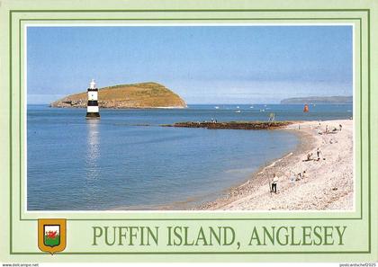 B97274 puffin islands anglesey wales