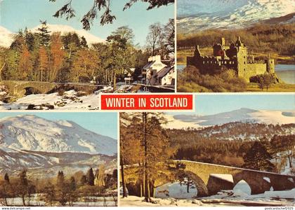 B97629 winter in scotland angus