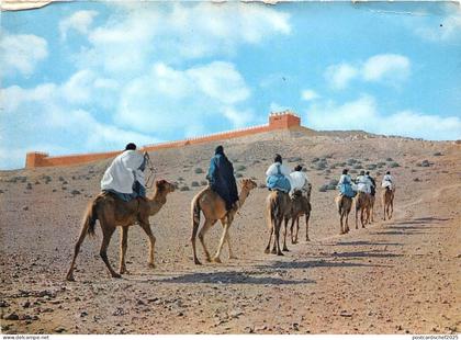 BF36353 depart vers le sud chamel africa types   front/back scan